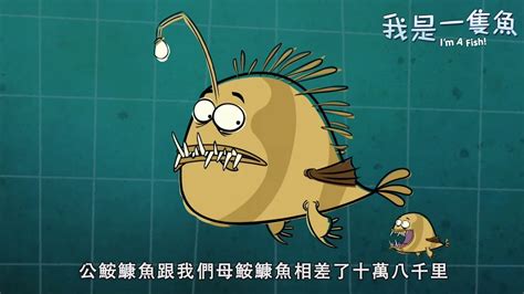 安康魚公魚